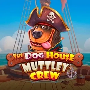 Dog House Dog House